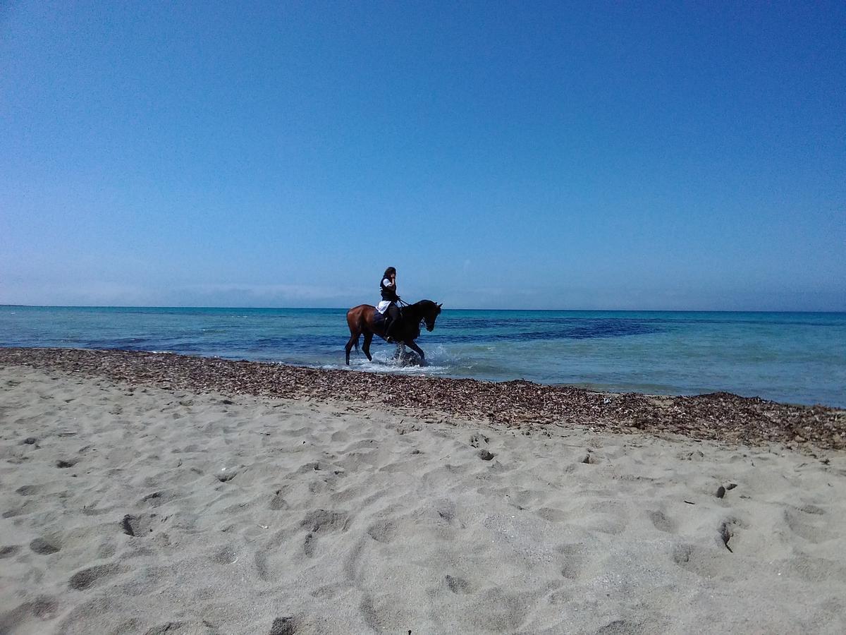 Villa Blanche Dimora Di Charme Marsala Buitenkant foto